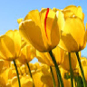 Meet your Posher, Kara